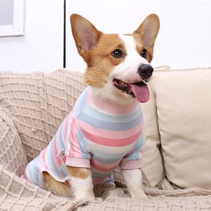 Dog Apparel Recovery Suit Post-Operative Vest Pet After Wear Substitute Protecting Abdominal Wounds Skin Disease Pet Supplies