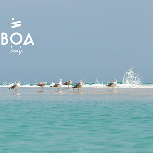 BOA The Beach in Jeddah - Nightlife - Image 2