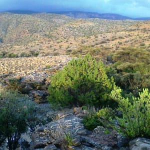 Grand Canyon of Oman Jebel Shams  Muscat