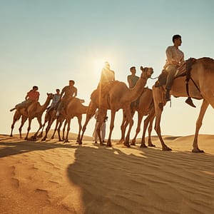 Camel Trekking Experience In Abu Dhabi With Transfers In Land Cruiser - Top-Rated Attractions - Image 2