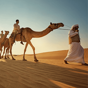 Camel Trekking Experience In Abu Dhabi With Transfers In Land Cruiser Top-Rated Attractions