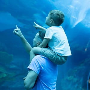 Dubai Aquarium & Underwater Zoo - Ray Encounter - Experiences - Image 2