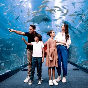 Dubai Aquarium & Underwater Zoo - Ultimate Experience - Experiences - Image 2