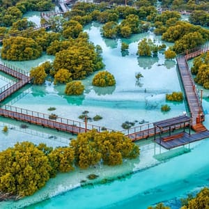 Jubail Mangrove Park - Boardwalk Experience - Recently Added Experiences - Image 2