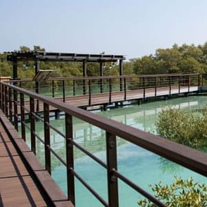 Jubail Mangrove Park - Boardwalk Experience - Recently Added Experiences - Image 3