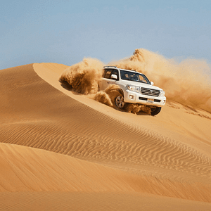 Liwa Adventure: A Desert Safari Delight with Authentic Local Lunch - Desert safaris - Image 3