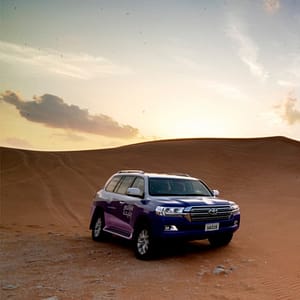 Mleiha Landscapes Tour in SUV - Top-Rated Attractions - Image 2