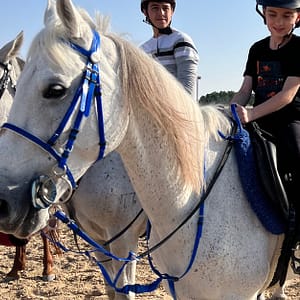 Pony Ride