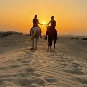 45-Minute To 60-Minute Private Horse Riding Lesson At Jsr Stables Dubai