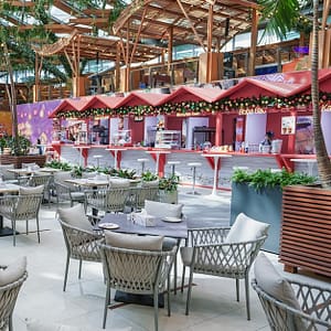 Savor Indian Cuisine With Aed 100