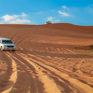 Sand Boarding and a Camel Ride Desert safaris