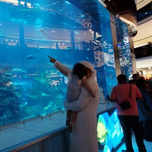 Dubai Aquarium & Underwater Zoo - Ray Encounter - Experiences - Image 3