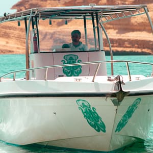 Exclusive Boating Experience - Dolphins Watching - Sightseeing and Tours - Image 3