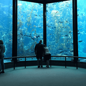 Oman Aquarium Experiences