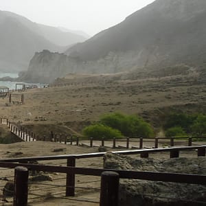 Salalah: Private Full day East and West of Dhofar - Recently Added Experiences - Image 3