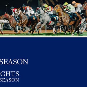The Garden at Abu Dhabi Turf Club - Sports Events - Image 3