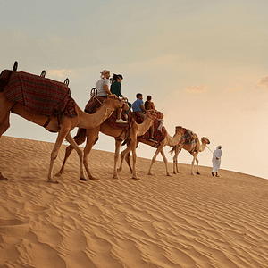 Dubai Sunset Safari Delight with BBQ dinner and camel ride Desert safaris