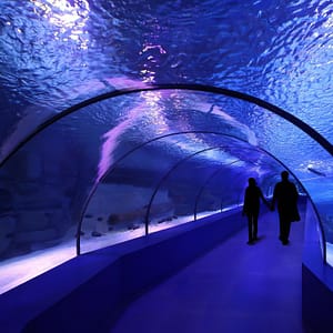 SEA LIFE London Aquarium - Same day Ticket Top-Rated Attractions