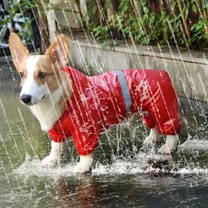 Pet Dog Waterproof Raincoat Jumpsuit Reflective Rain Coat Sunscreen Dog Outdoor Clothes Jacket for Small Dog Pet Supplies Pet Supplies