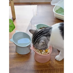 NEW 2022 Hot Cat Bowl High Foot Dog Bowl 45°Neck Protector Cat Pet Food Water Bowl Pet Feeding Cup Pet Feeder Bowl Pet Supplies