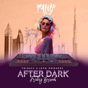 After Dark Friday Brunch at Malibu Sky Lounge