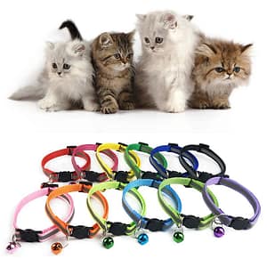 Adjustable 1.0 Nylon Dog Collars Pet Collars With Bells Charm Necklace Collar For Little Dogs Cat Collars Pet Supplies Hot Sale Pet Supplies