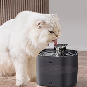 Automatic Cat Water Fountain with Filter