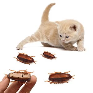 Funny Pet Cat Electronic Toys Cockroach Mouse Spider Electric Animal Interactive Training Toys Pet Supplies Pet Supplies