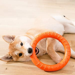 Dog Toys for Big Dogs EVA Interactive Training Ring Puller Resistant for Dogs Pet Flying Discs Bite Ring Toy for Small Dog Pet Supplies