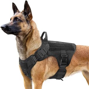 NEW Large Dog Collar Military Dog Harness And Leash Set Pet Training Vest Tactical German Shepherd K9 Harnesses For Small Dogs Pet Supplies