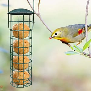 Bird Parrot Pet Cage Aviary Wild Bird Metal Feeder Hanging Feeders Viewing Window For Garden Yard Decoration Feeding Supplies Pet Supplies