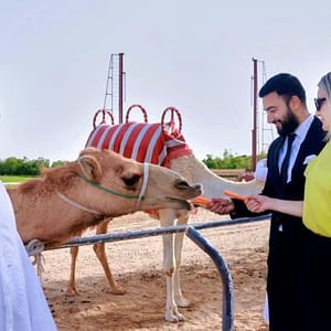 Camelicious Dubai - Must-see attractions - Image 2