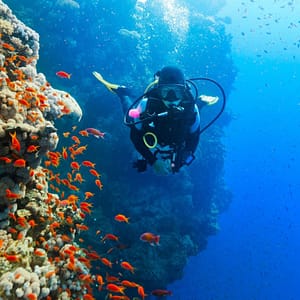 Diving Experience in Khasab  Khasab