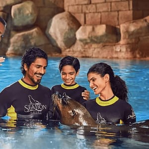 Sea Lion Experiences at Atlantis The Palm - Water Parks - Image 2