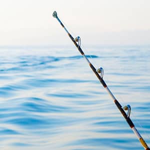 Private fishing boat tour - Sightseeing and Tours - Image 2