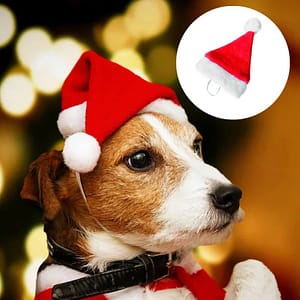 Christmas Caps for Pet Hat Cats Dogs Puppy Xmas Decorations 2020 New Years Santa Claus Hat Decoration Party New Year Pet Costume Pet Supplies