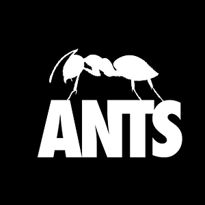 ANTS at Ushuaïa Dubai Harbour Experience - Nightlife - Image 3