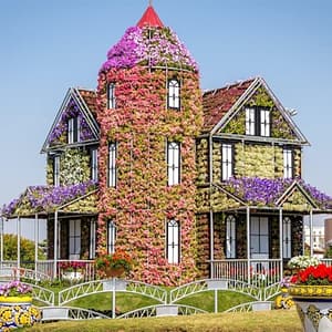Dubai Miracle Garden at Dubai Miracle Garden