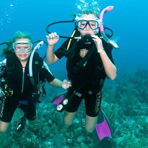 Vip Scuba Diving Tour Dubai