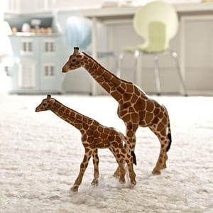 Carpet Cleaning Dubai