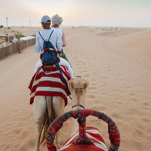Savor The Ultimate Vip Desert Safari Tour With Home Pickup & Drop Off Dubai