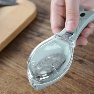 NEW Plastic Fish Scale Scraper With Cover Fishing Scale Brush Fish Peeler Grater Scaler Easy To Clean Kitchen Tools Gadgets 16/5.5cm Home  Garden