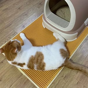 NEW Cat Litter Mat EVA Double Layer Pet Cat Litter Trapper Mats Waterproof Non-slip Pet Katten Cat Litter Trapping Mat Cushion Pet Supplies