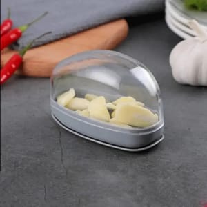 NEW Garlic Grinder Garlic Masher Manual Ginger Grinding Grater Cutting Multi-function Chili Ginger Slicer Container Kitchen Tools Home  Garden