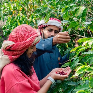 Hike with a local coffee farmer Recently Added Experiences