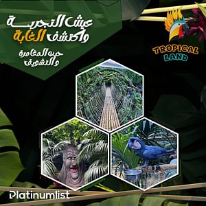 Tropical Land Top-Rated Attractions