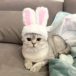 Rabbit Ear Cat Hat Plush Bunny Ears Dog Cosplay Pet Costume Headband Kitten Puppy Cap Teddy Headwear for Birthday Christmas Pet Supplies