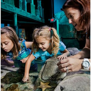 Istanbul Sea Life Aquarium  SEA LIFE Istanbul