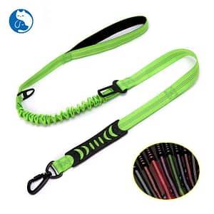 Explosion-Proof Okinawa Dog Leash