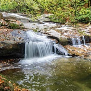 Istanbul: Day Trip to Scenic Sapanca, Masukiye and Kartepe - Recently Added Experiences - Image 3